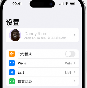 惠来appleID维修服务iPhone设置中Apple ID显示为灰色无法使用 