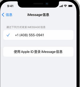 惠来apple维修iPhone上无法正常发送iMessage信息 