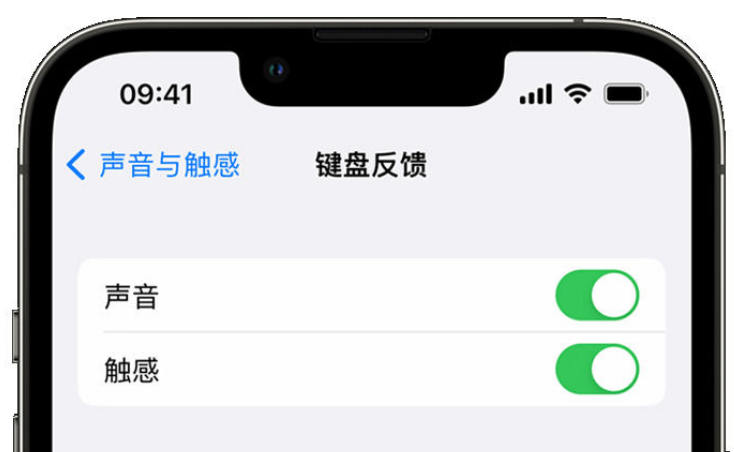 惠来苹果手机维修分享iPhone 14触感键盘使用方法 