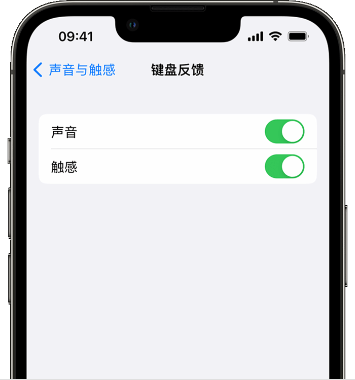 惠来苹果14维修店分享如何在 iPhone 14 机型中使用触感键盘 