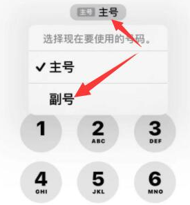 惠来苹果14维修店分享iPhone 14 Pro Max使用副卡打电话的方法 