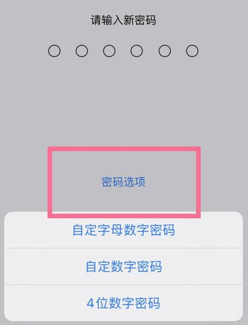 惠来苹果14维修分享iPhone 14plus设置密码的方法 