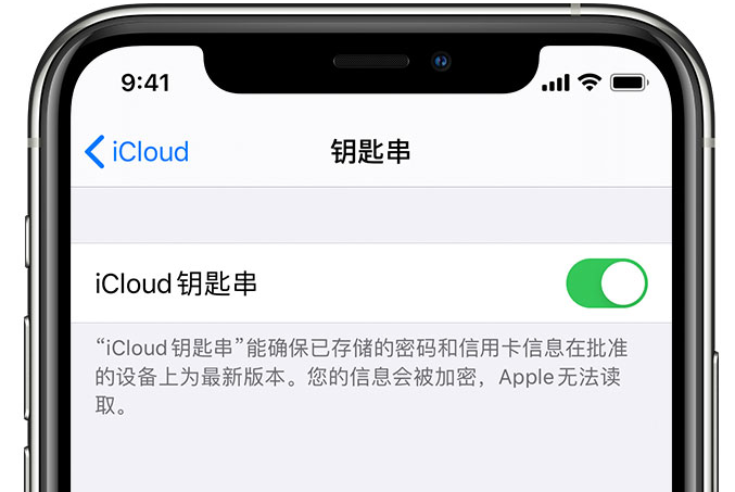 惠来苹果手机维修分享在 iPhone 上开启 iCloud 钥匙串之后会储存哪些信息 