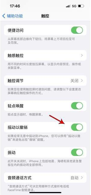 惠来苹果手机维修分享iPhone手机如何设置摇一摇删除文字 